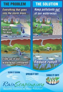 Stormwater Poster